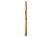 Tristan O'Meara Didgeridoo (TM447)